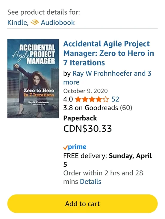 Accidental Project Manager Book Set - Picture 7 of 8